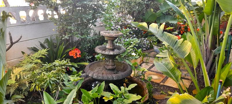 3 Bedroom Property for Sale in Bergvliet Western Cape